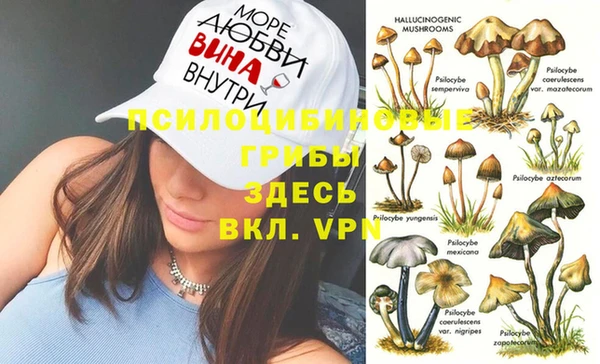 дурь Нея